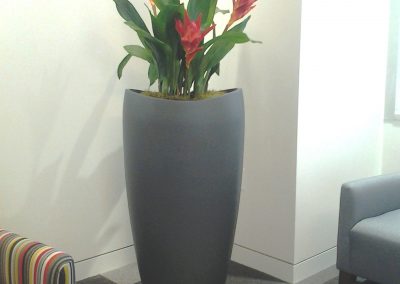 Silk Office Plants and Silk Flowers for Businesses | Chicago & Suburbs