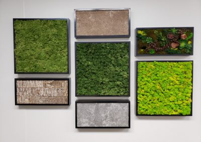 Moss Walls