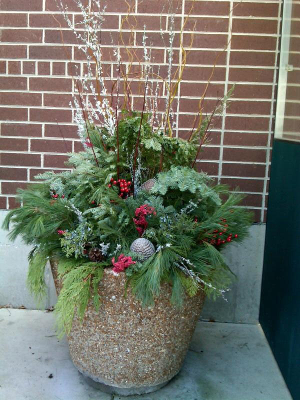 Stunning Exterior Displays And Seasonal Container Plantings 